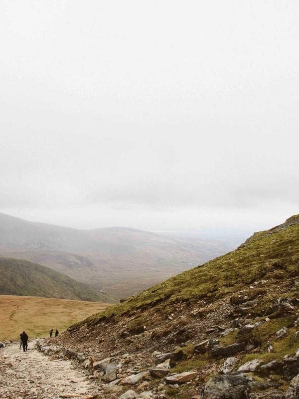 Principal Mr. M. P. Singh